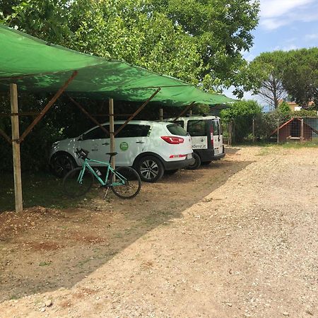 Agriturismo Il Podere Vedelago Con San Bernardo, Alpaca E Una Pentola Di Cose Da Scoprire Экстерьер фото
