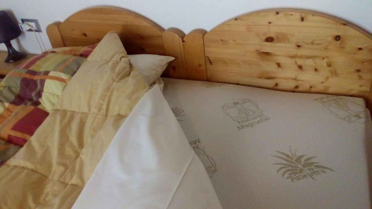 Agriturismo Il Podere Vedelago Con San Bernardo, Alpaca E Una Pentola Di Cose Da Scoprire Экстерьер фото