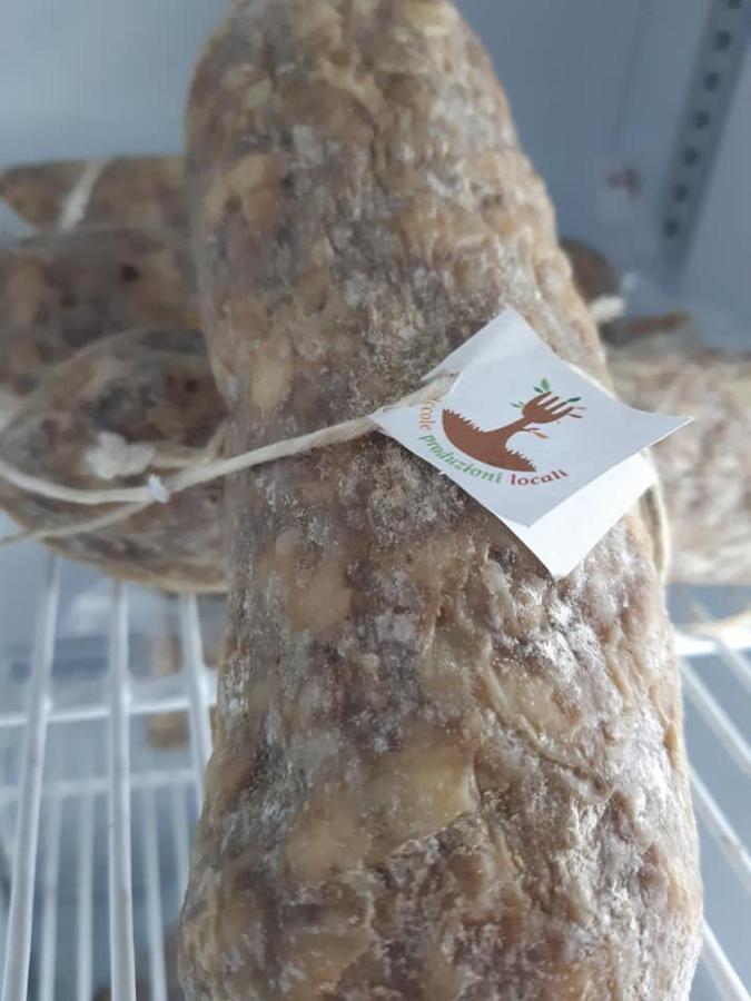Agriturismo Il Podere Vedelago Con San Bernardo, Alpaca E Una Pentola Di Cose Da Scoprire Экстерьер фото