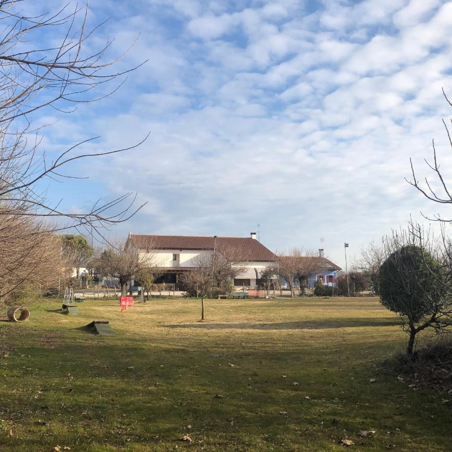 Agriturismo Il Podere Vedelago Con San Bernardo, Alpaca E Una Pentola Di Cose Da Scoprire Экстерьер фото