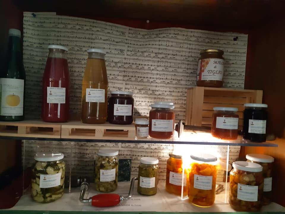 Agriturismo Il Podere Vedelago Con San Bernardo, Alpaca E Una Pentola Di Cose Da Scoprire Экстерьер фото