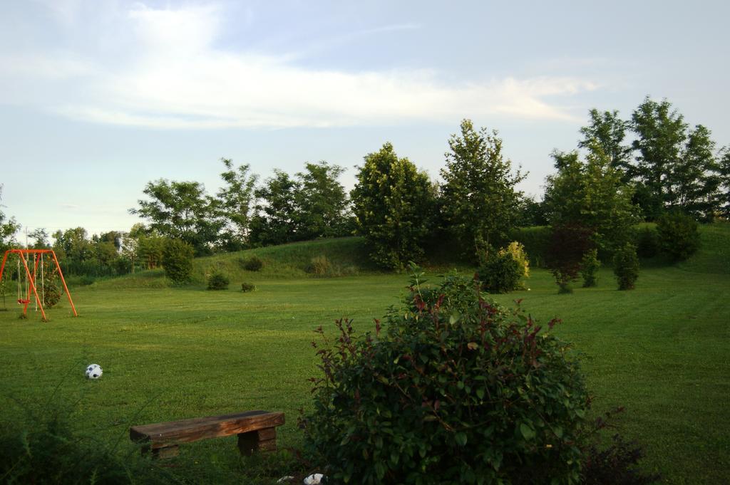 Agriturismo Il Podere Vedelago Con San Bernardo, Alpaca E Una Pentola Di Cose Da Scoprire Экстерьер фото
